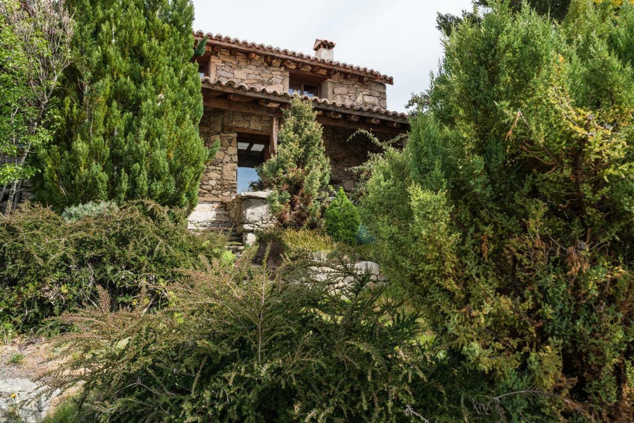 El Cerro - El Cerro I Villa Navarredonda de Gredos Exteriör bild