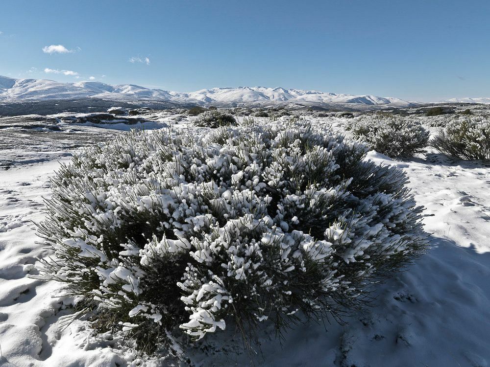 El Cerro - El Cerro I Villa Navarredonda de Gredos Exteriör bild